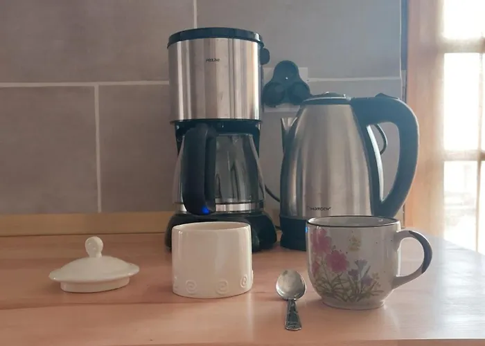 La Taniere Du Renard