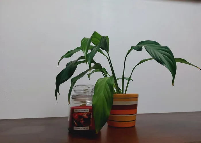 La Taniere Du Renard * Vallet